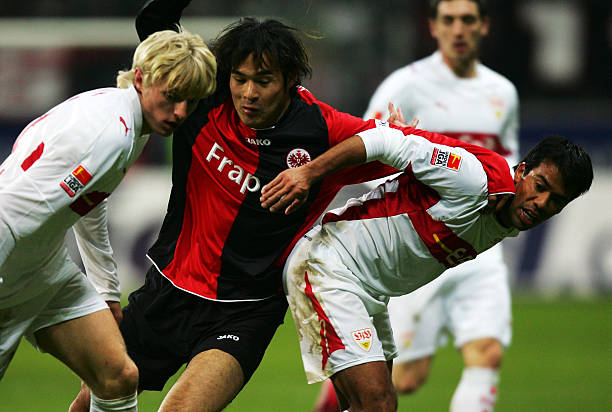 充分展现了 充分展现了